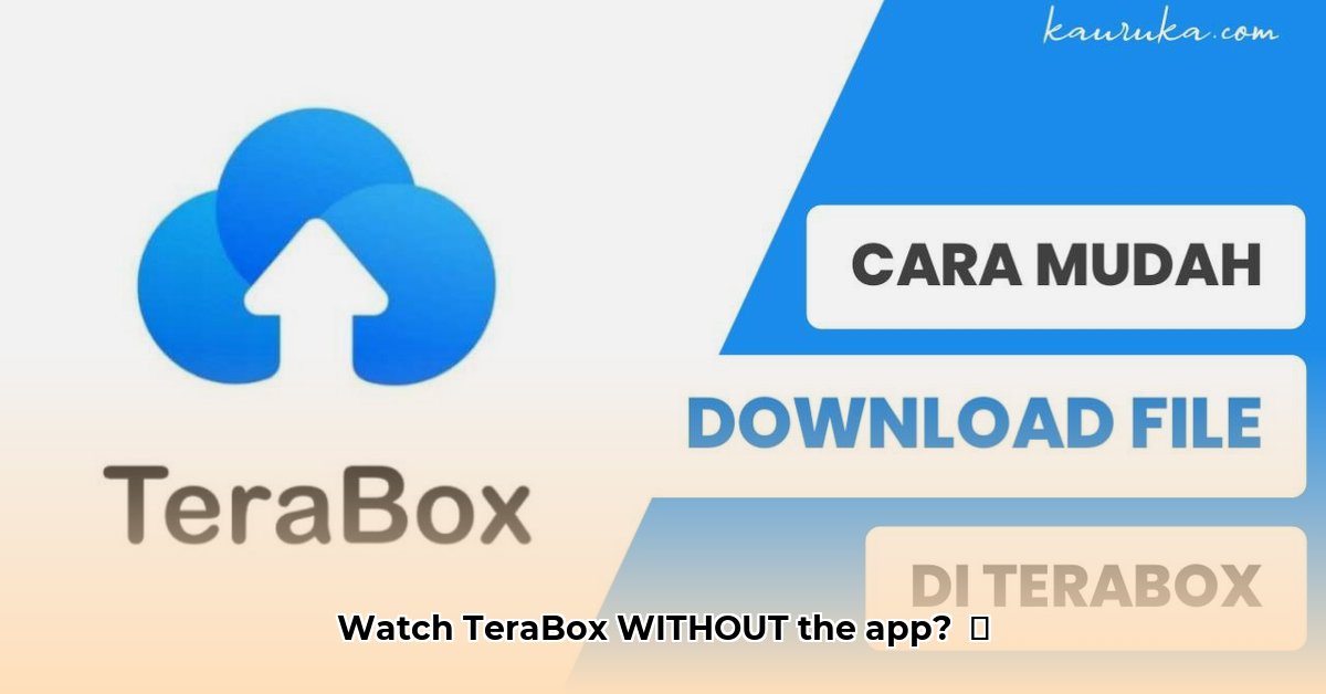 cara-nonton-di-terabox-tanpa-aplikasi